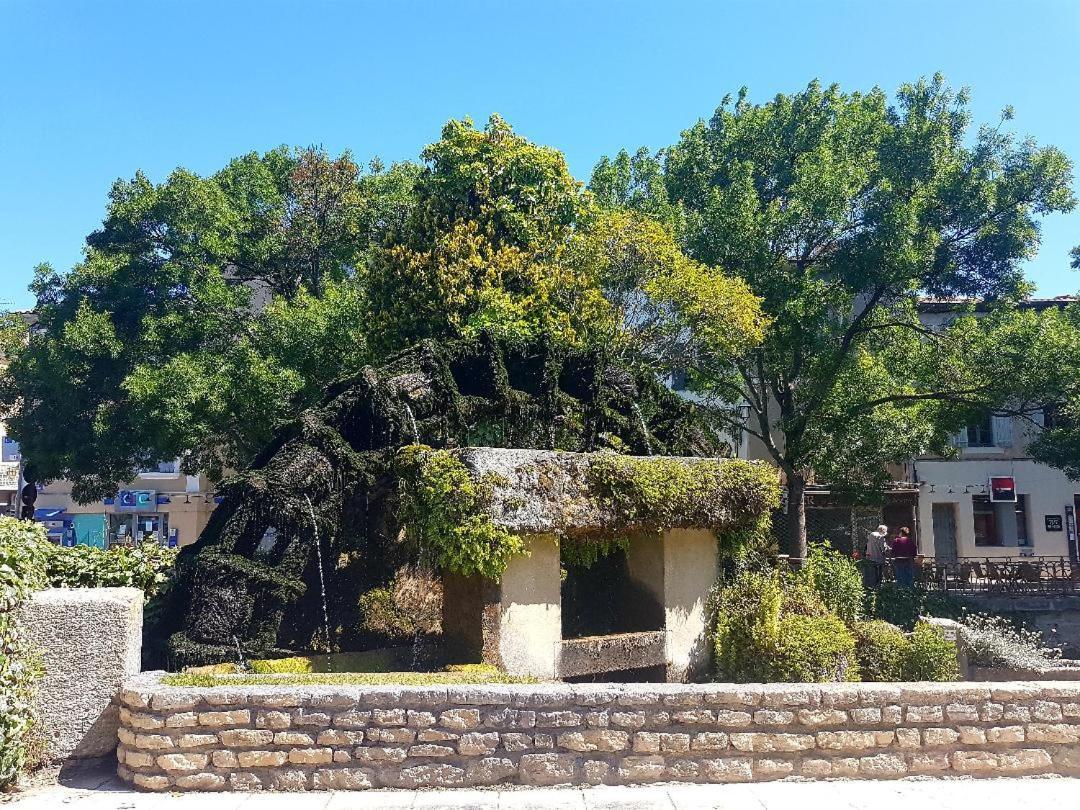 Vintage Home L'Isle-sur-la-Sorgue Luaran gambar